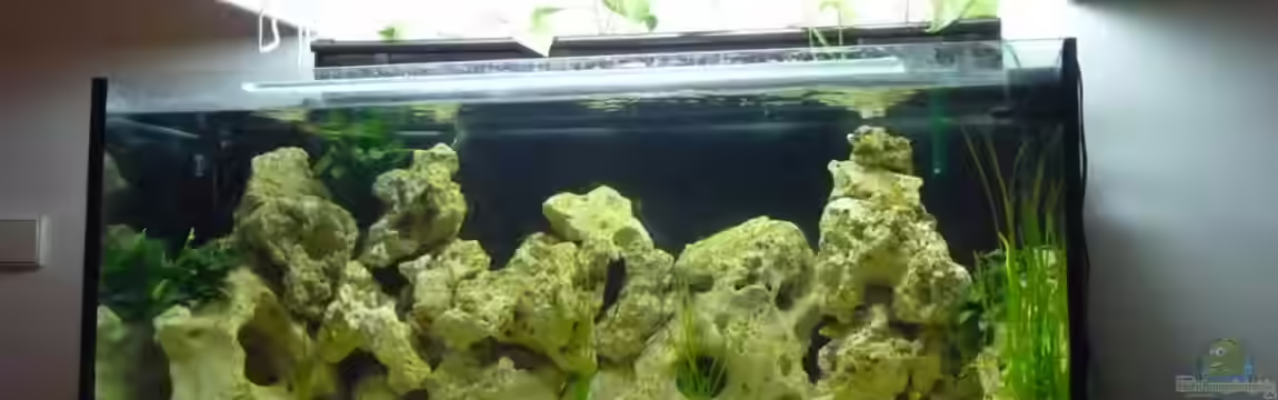 Becken 17582 von Marv1994