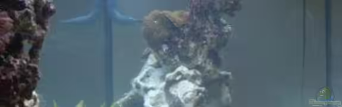 Becken 17663 von andi1