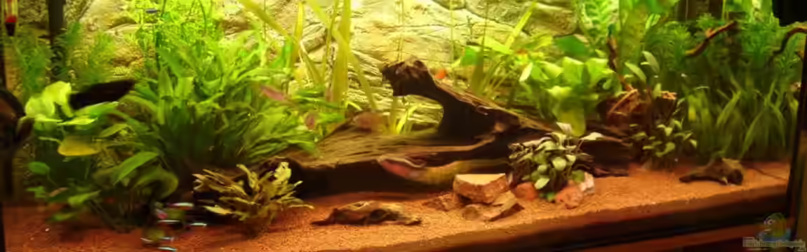 Becken 17665 Red River von Michael Hermes