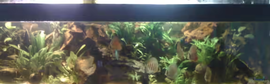 Becken 17703 von Markus Schöller