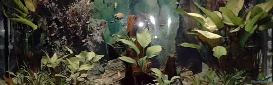 Becken 1771 von Michael Tiemann