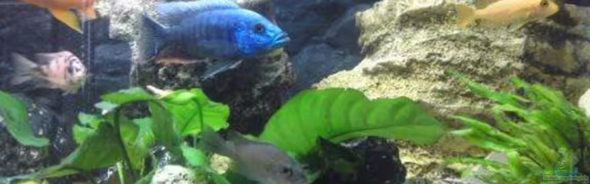 Becken 17725 von sumsum0476