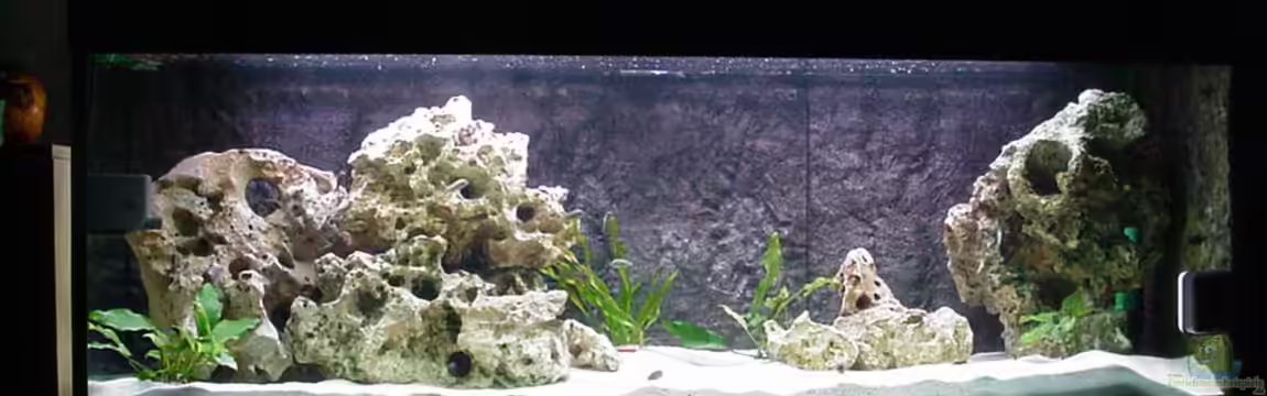 Becken 178 von Uwe Veckenstedt