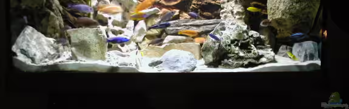 Becken 1781 von Stefan Link