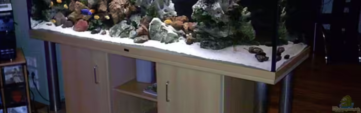 Becken 1794 von Markus Parthe