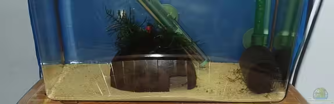 Becken 1804 von Torsten Bullmahn