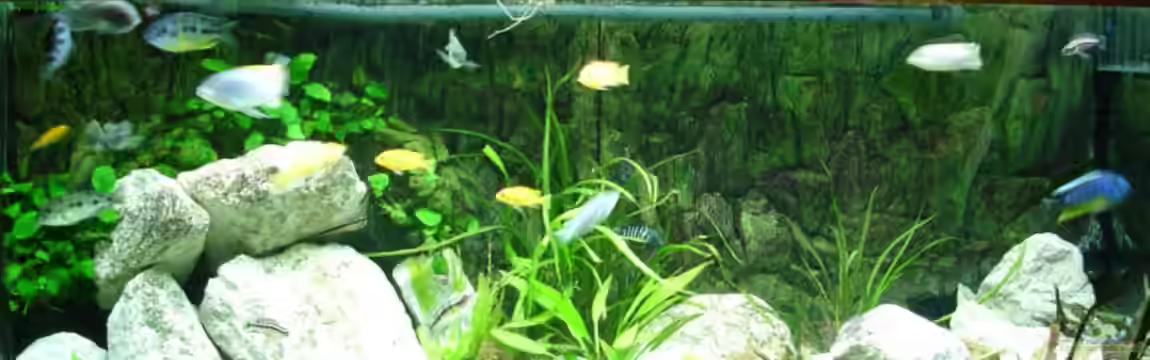 Becken 1806 von Andreas Sperk