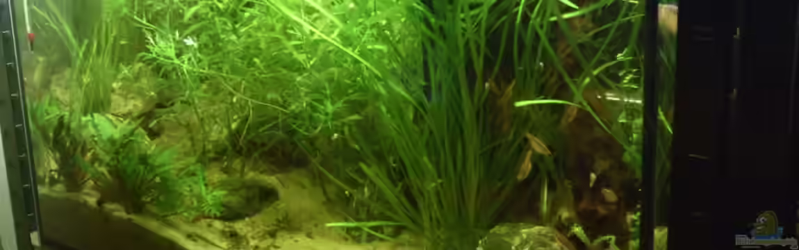 Becken 18130 von El Grande