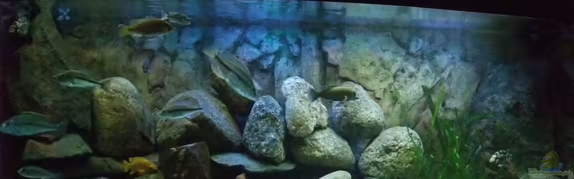 Becken 18174 von Danny Mätzke