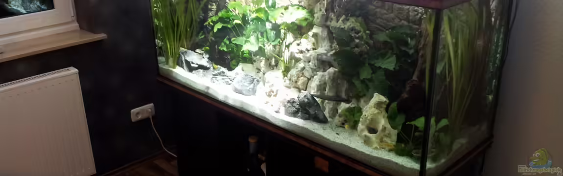 Becken 18250 von Markusb