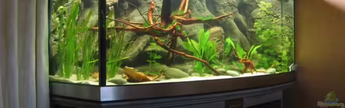 Becken 1827 von Hubert Demonty