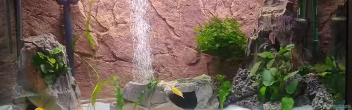 Becken 18274 von coupe320i