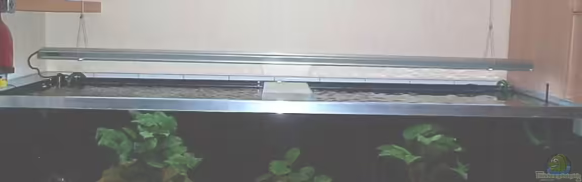 Becken 1832 von Jens und Manuela Ruhr