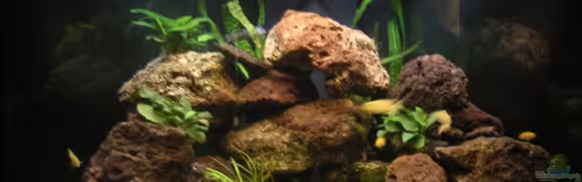 Becken 1837 von Sebastian Zunhammer