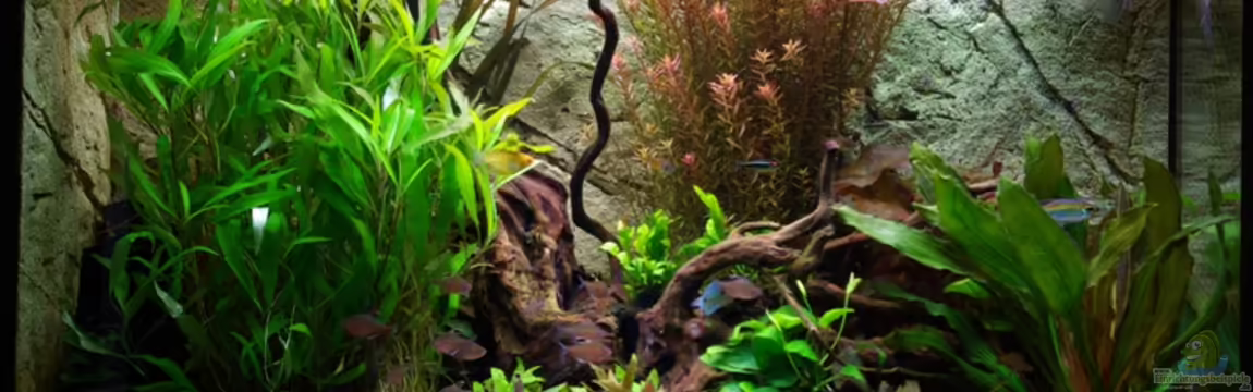 Becken 18417 von Tobias Huber