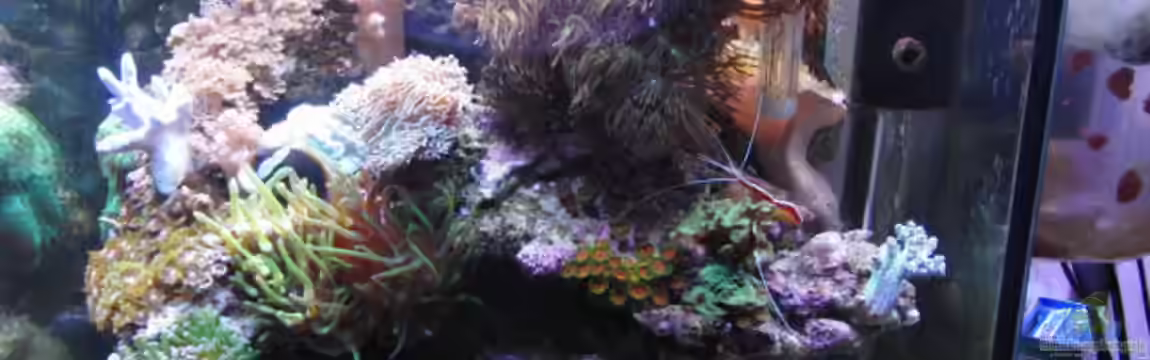 Becken 18436 von Steffen Ruck