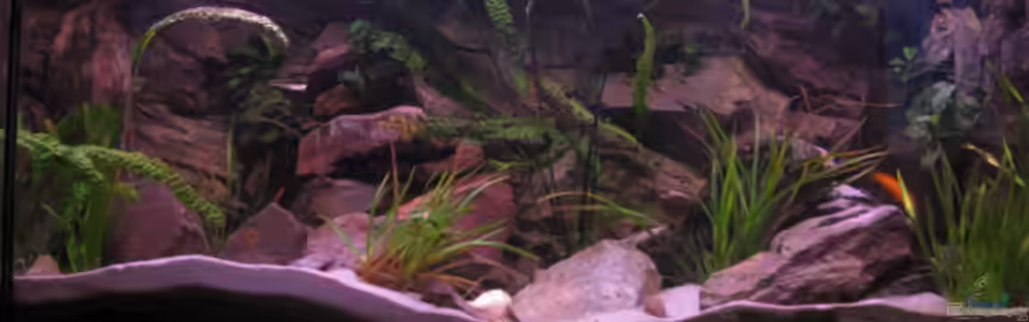 Becken 18575 von Stefan Heisterkamp