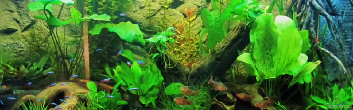 Becken 18610 von Itsokay Matthäus