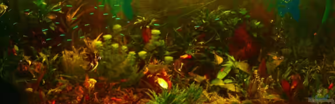 Becken 18738 von Sascha Quell