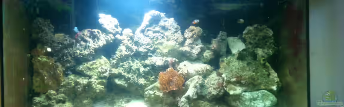 Becken 18813 von Ben S