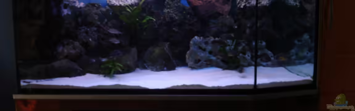 Becken 1888 von Andre Röttelbach