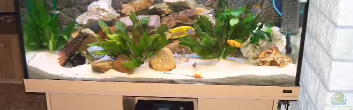 Becken 1890 von Matthias Schmidt