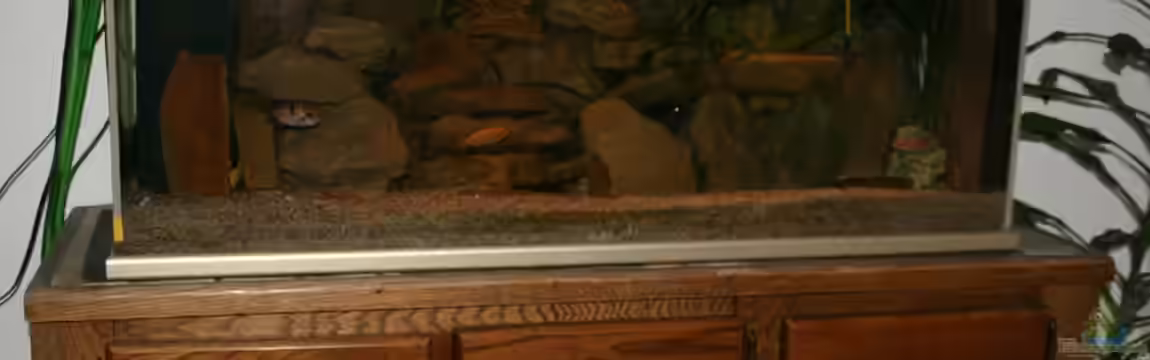 Becken 18911 von Esslinger