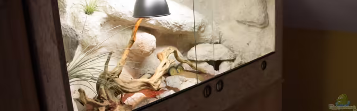 Becken 18981 von Marcel Stübs