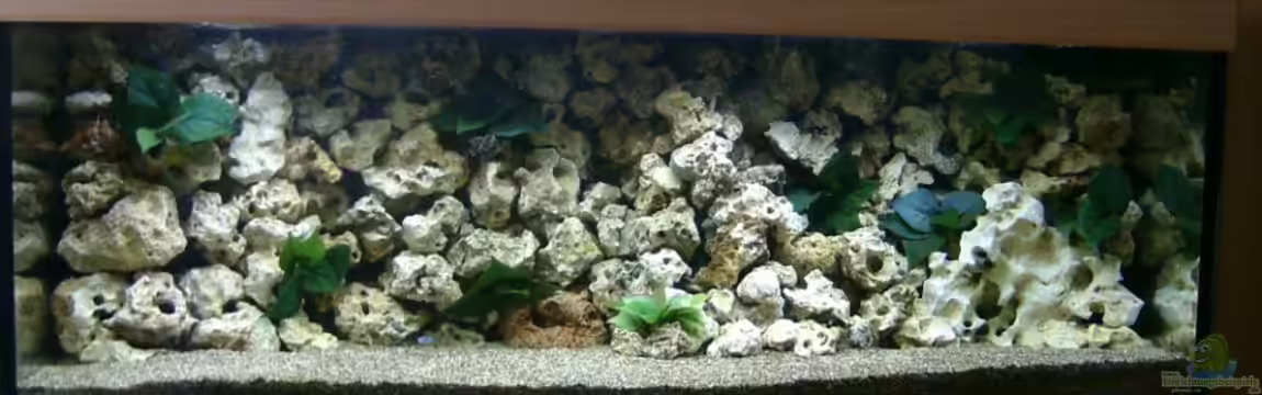 Becken 19078 von renehilly