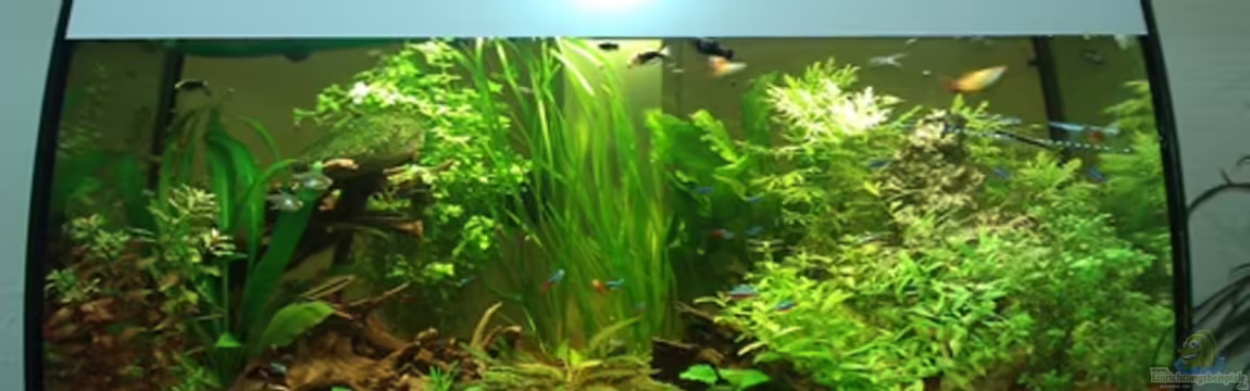 Becken 19204 von Alex Resch