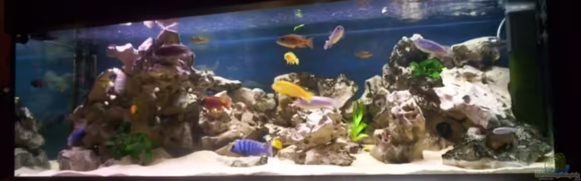 Becken 1932 von Markus Bohlenschmidt