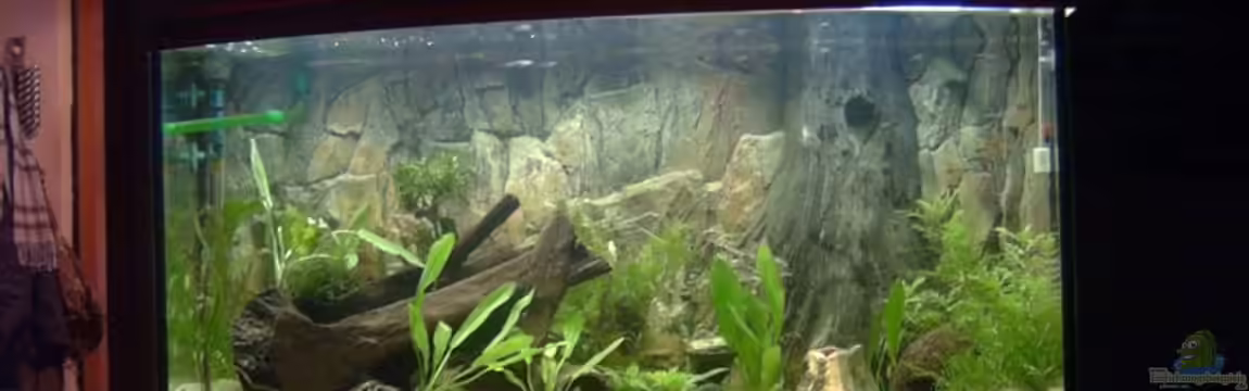 Becken 1943 von Angelika König