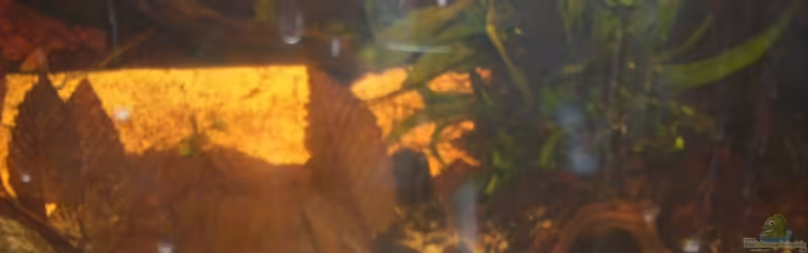 Becken 19520 von Ulf