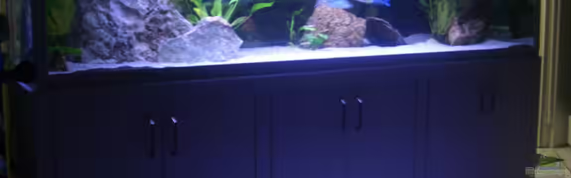 Becken 197 von Patrick Gutmann