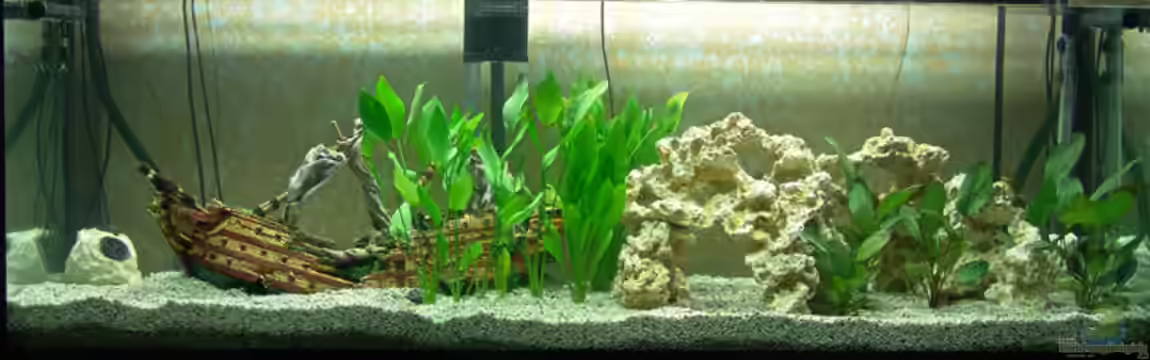 Becken 19783 von bigbone