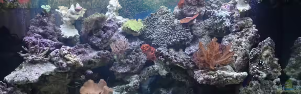 Becken 19856 von Thorsten John