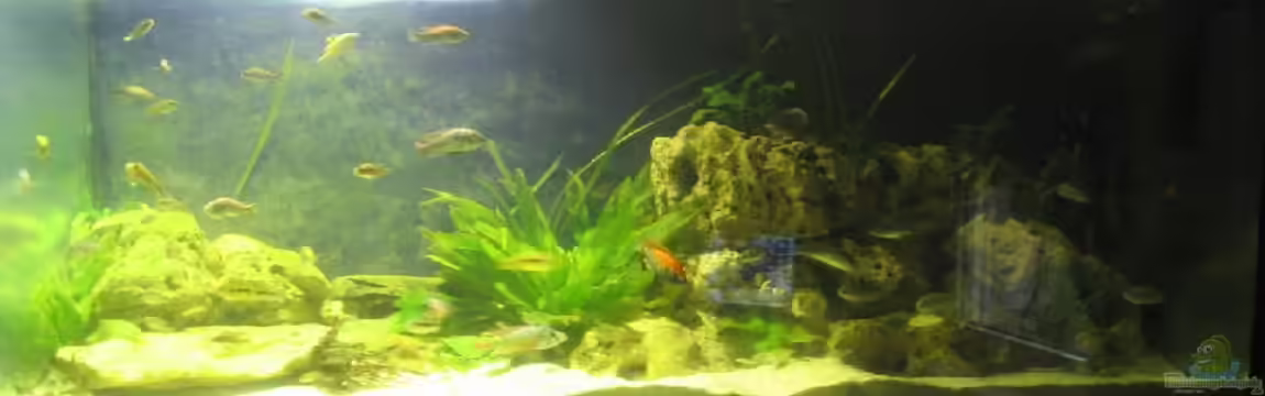 Becken 199 von Katrin Bärwald