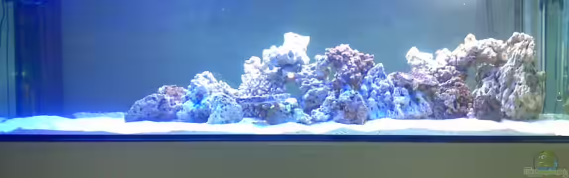 Becken 19931 von Korallenriff