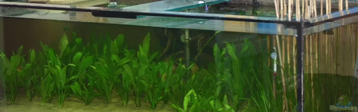 Becken 19939 von Stefan Kaiser