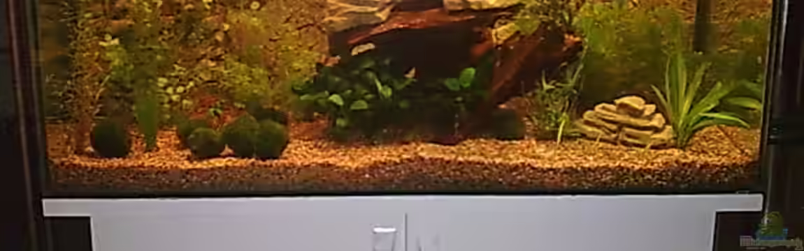 Becken 2 von Bulldog1112