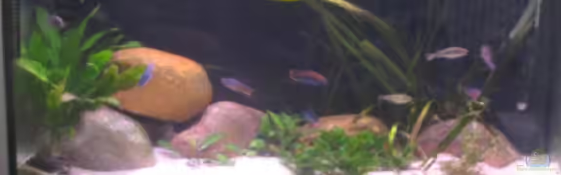 Becken 200 von Katrin Bärwald