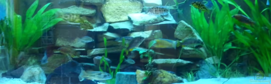 Becken 20343 von relkov