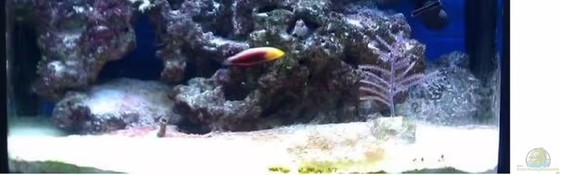 Becken 20377 von Rene Rohrer