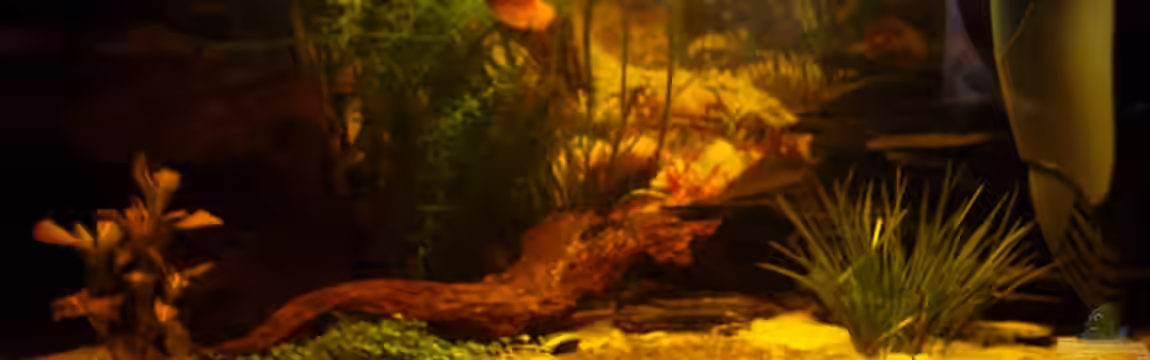 Becken 2068 von Steffen Gahm