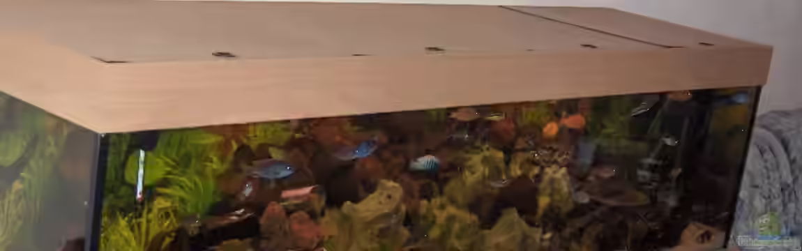 Becken 2069 von Jens Zinder