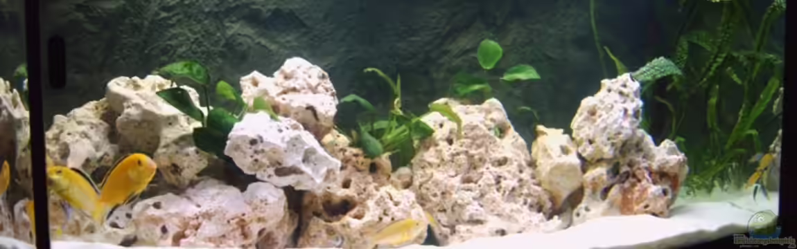 Becken 2071 von Markus Gebauer