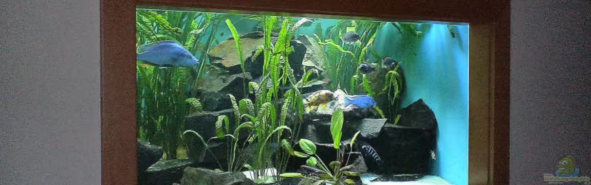 Becken 2075 von Edmund Thaler