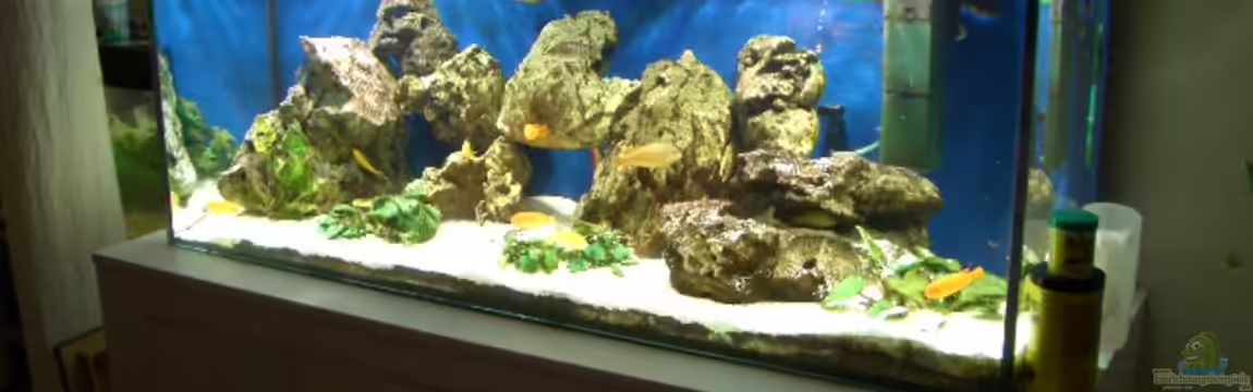 Becken 2085 von Christoph Werner