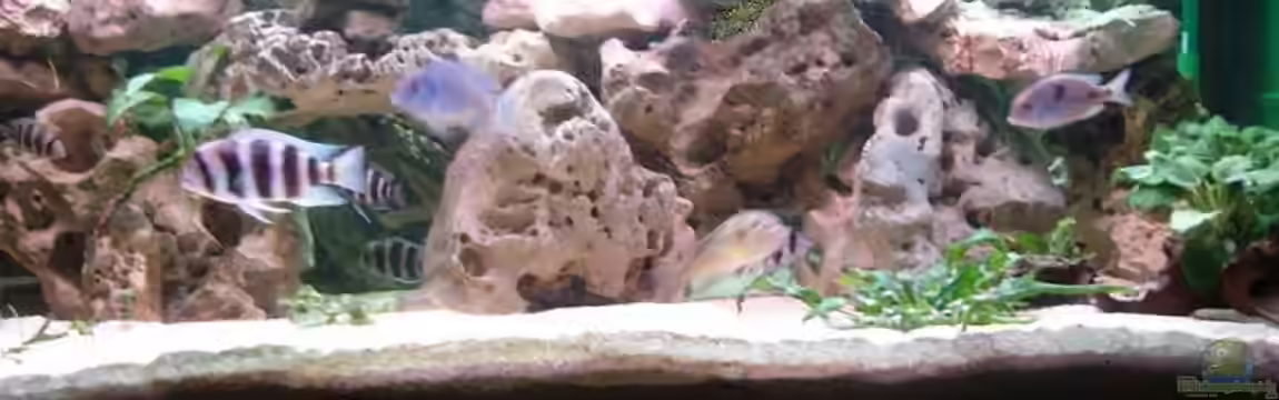 Becken 2092 von Christian Friedrich