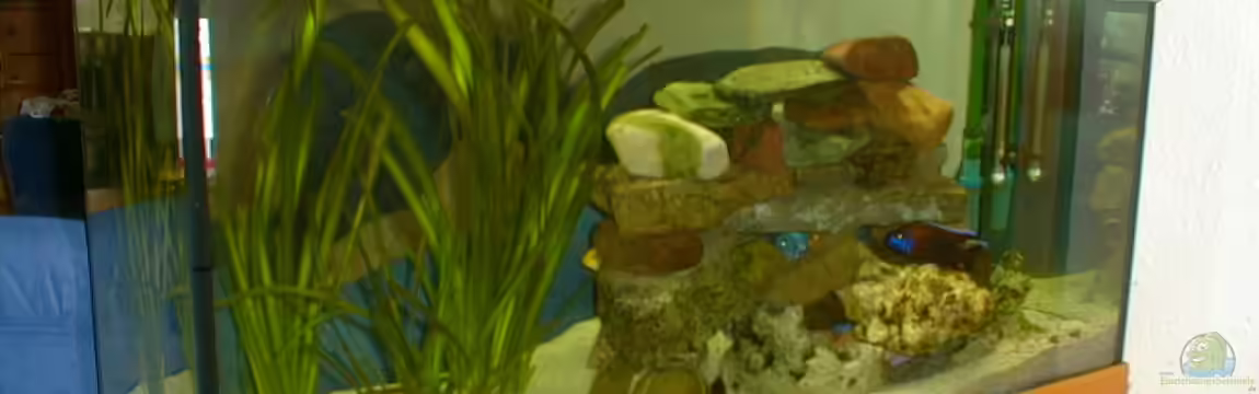 Becken 2122 von Mike Nebenführ